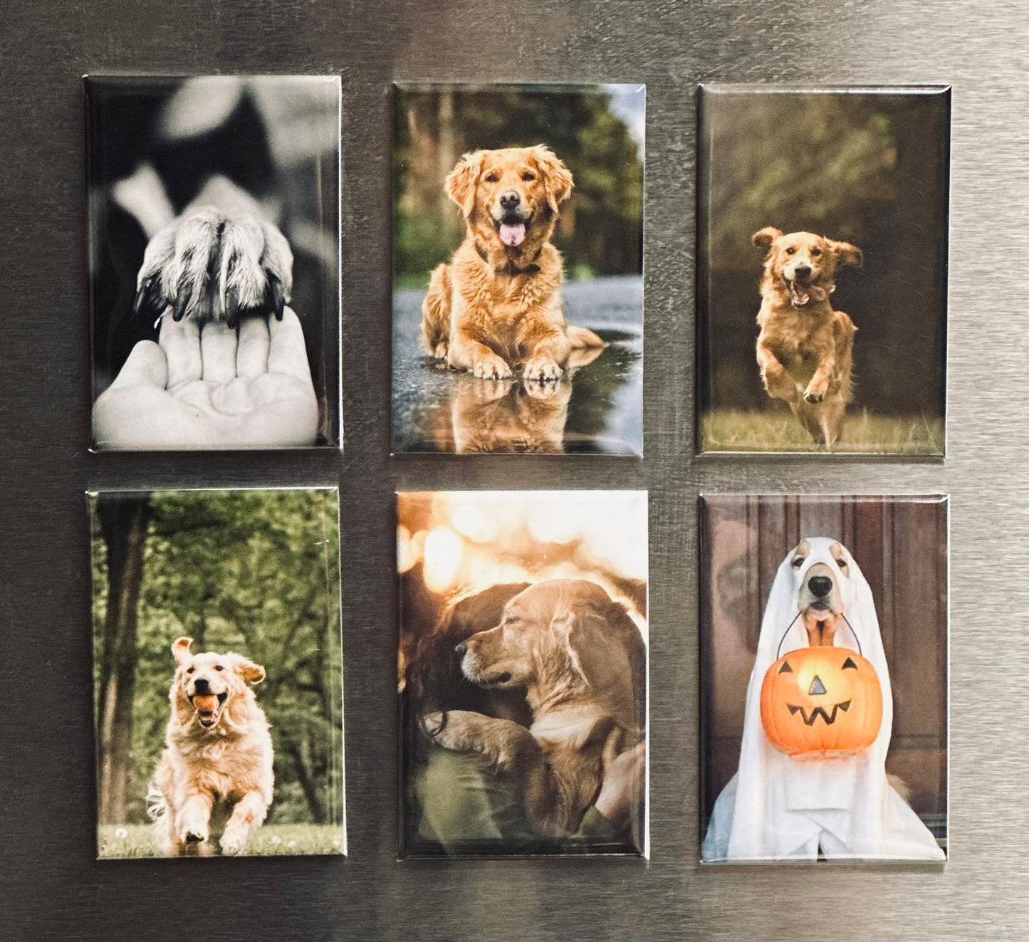 Fridge Photo Magnet